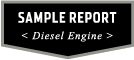 sample report - diesel